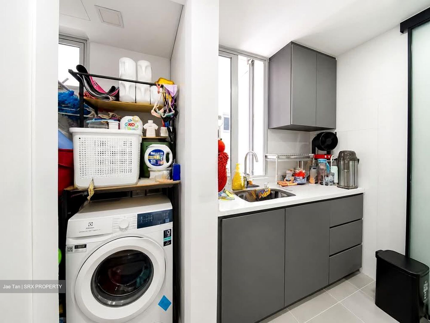 Ecopolitan (D19), Condominium #598276711